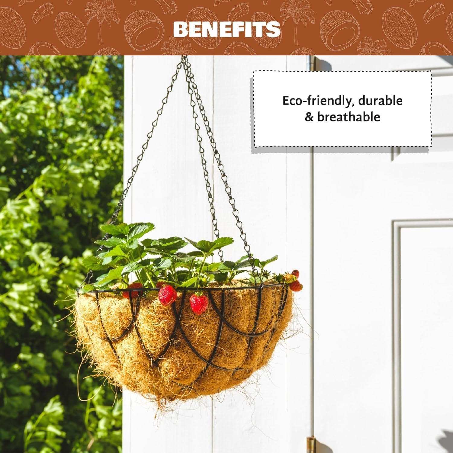 COCO & COIR Hanging Basket Liner | Coco Fibre Replacement Liners for Wall Baskets