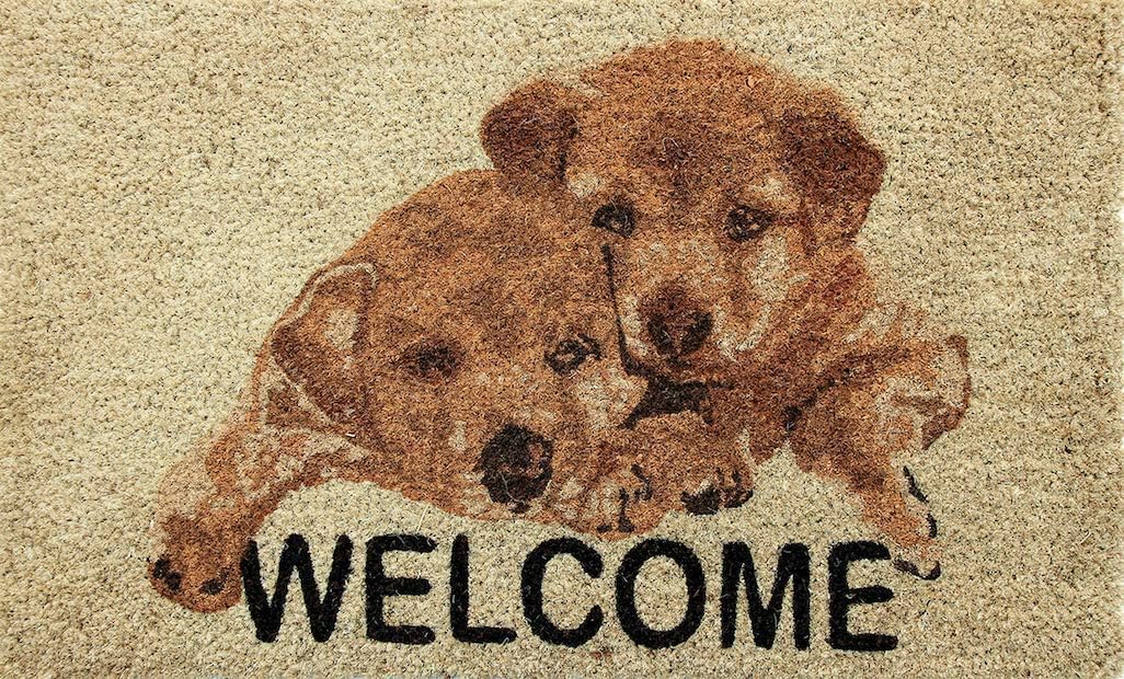Coco&Coir Door Mat | Non-Slip | Thick Coir | Premium Quality | Rubber Backed | Eco-Friendly | Indoor | Outdoor | Heavy Duty | Pet series | Entrance Door Mat (Puppy Welcome)