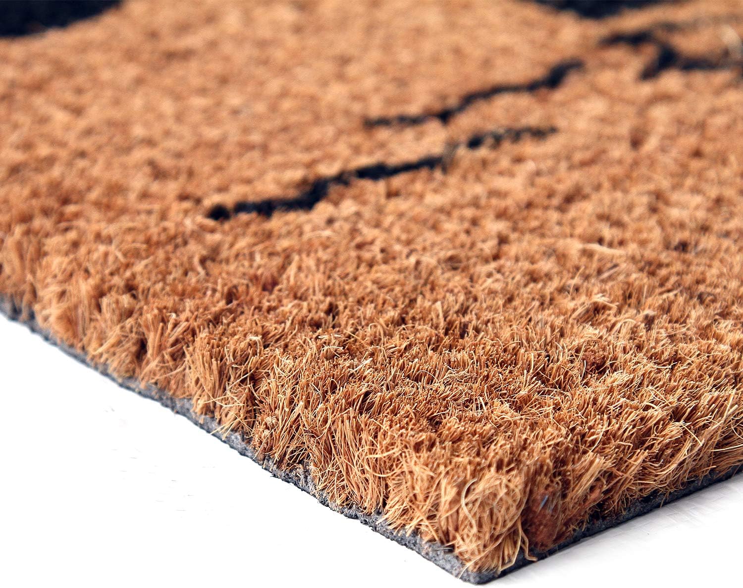 Coco&Coir Natural Coir | Non-Slip | Thick Coir | Premium Quality | Rubber Backed | Eco-Friendly | Indoor | Outdoor | Heavy Duty | Weather Themed | Entrance Door Mat (Rain or Shine)