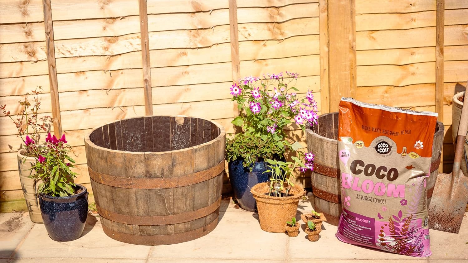 Peat-free Multi Purpose Coir Compost | Nutrient Rich All Purpose Potting Compost - Coco & Coir Coco Bloom (50L)