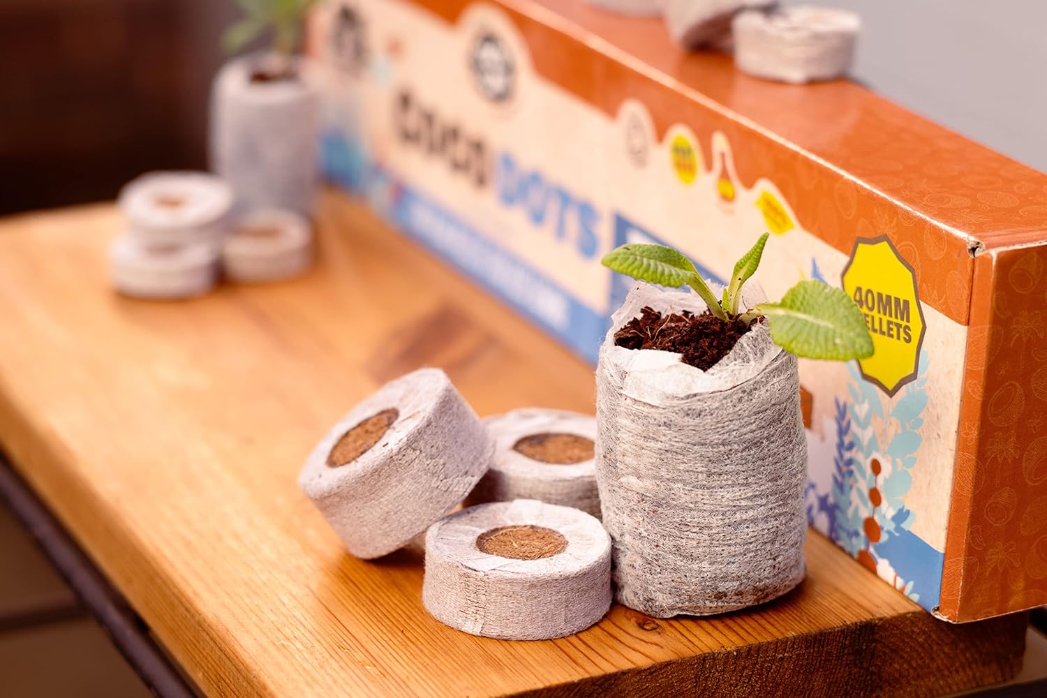 Peat-free Coir Pellet Compost Disks for Seeding Plug Plants & Germination | Coco & Coir Coco Dots (50 x 40mm)