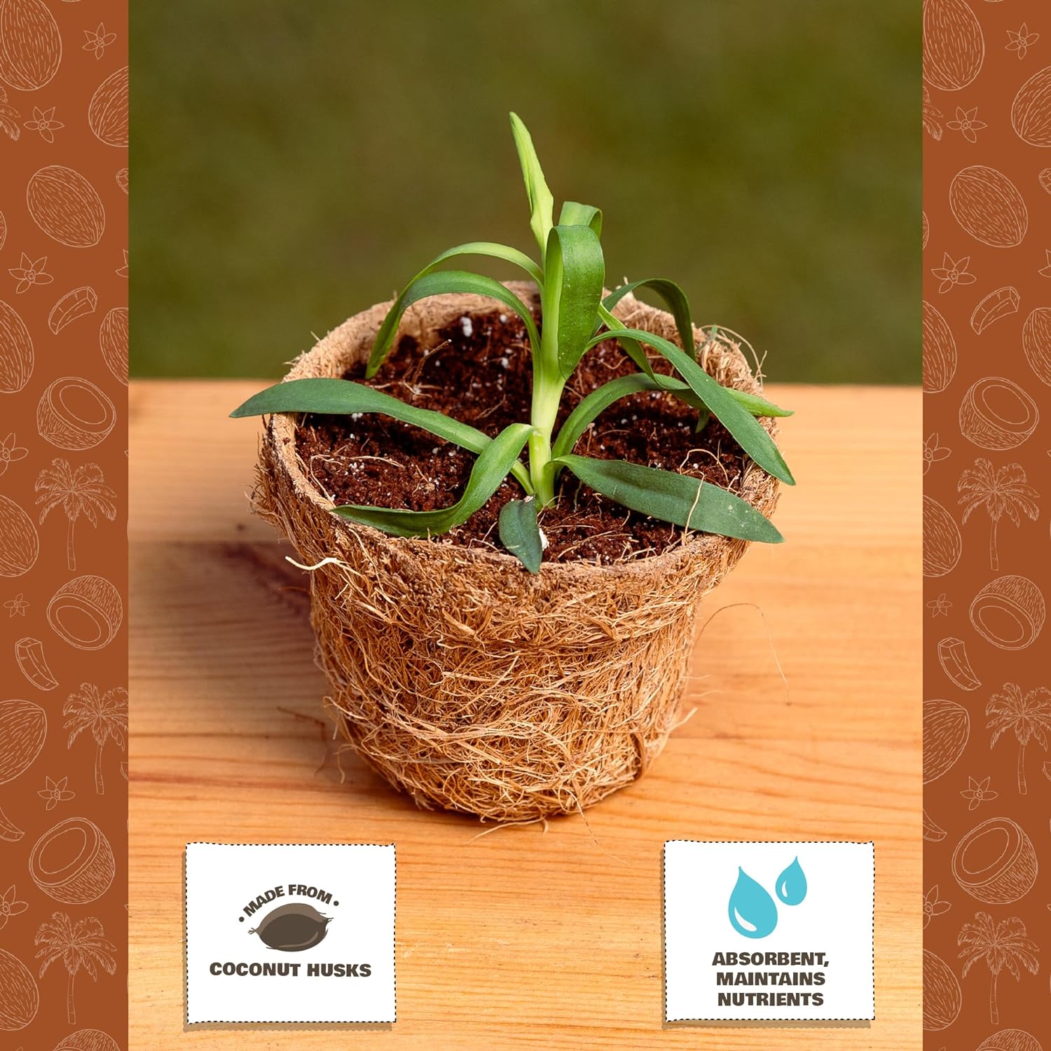COCO & COIR Biodegradable Round Plant Pots Plastic Free Eco-friendly Propagation Pots
