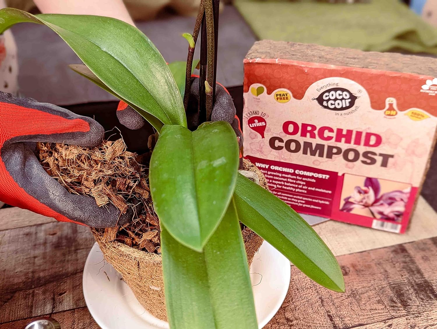 Coco & Coir Orchid Potting Mix | Peat-free Orchid Compost/Orchid Bark Replacement with Orchid Feed | Repotting All Orchid Plants (9L)