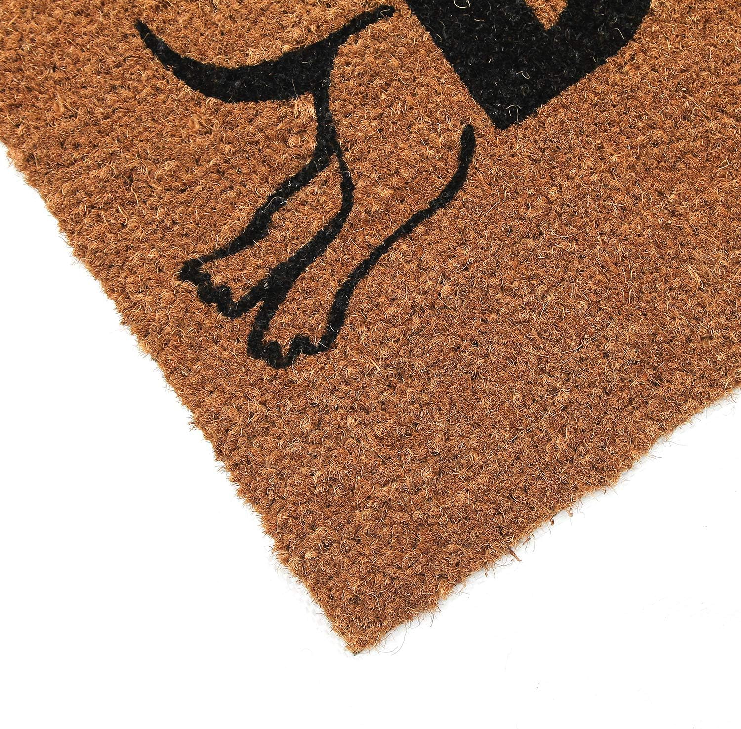 Coco&Coir Door Mat | Non-Slip | Thick Coir | Premium Quality | Rubber Backed | Eco-Friendly | Indoor | Outdoor | Heavy Duty | Puppy, Dog, Pet Themed | Entrance Door Mat (Puppy Love)