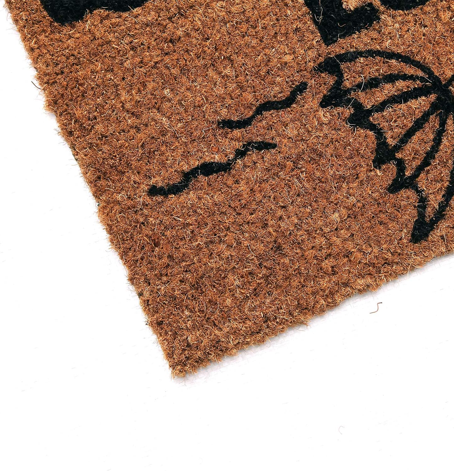 Coco&Coir Natural Coir | Non-Slip | Thick Coir | Premium Quality | Rubber Backed | Eco-Friendly | Indoor | Outdoor | Heavy Duty | Weather Themed | Entrance Door Mat (Rain or Shine)