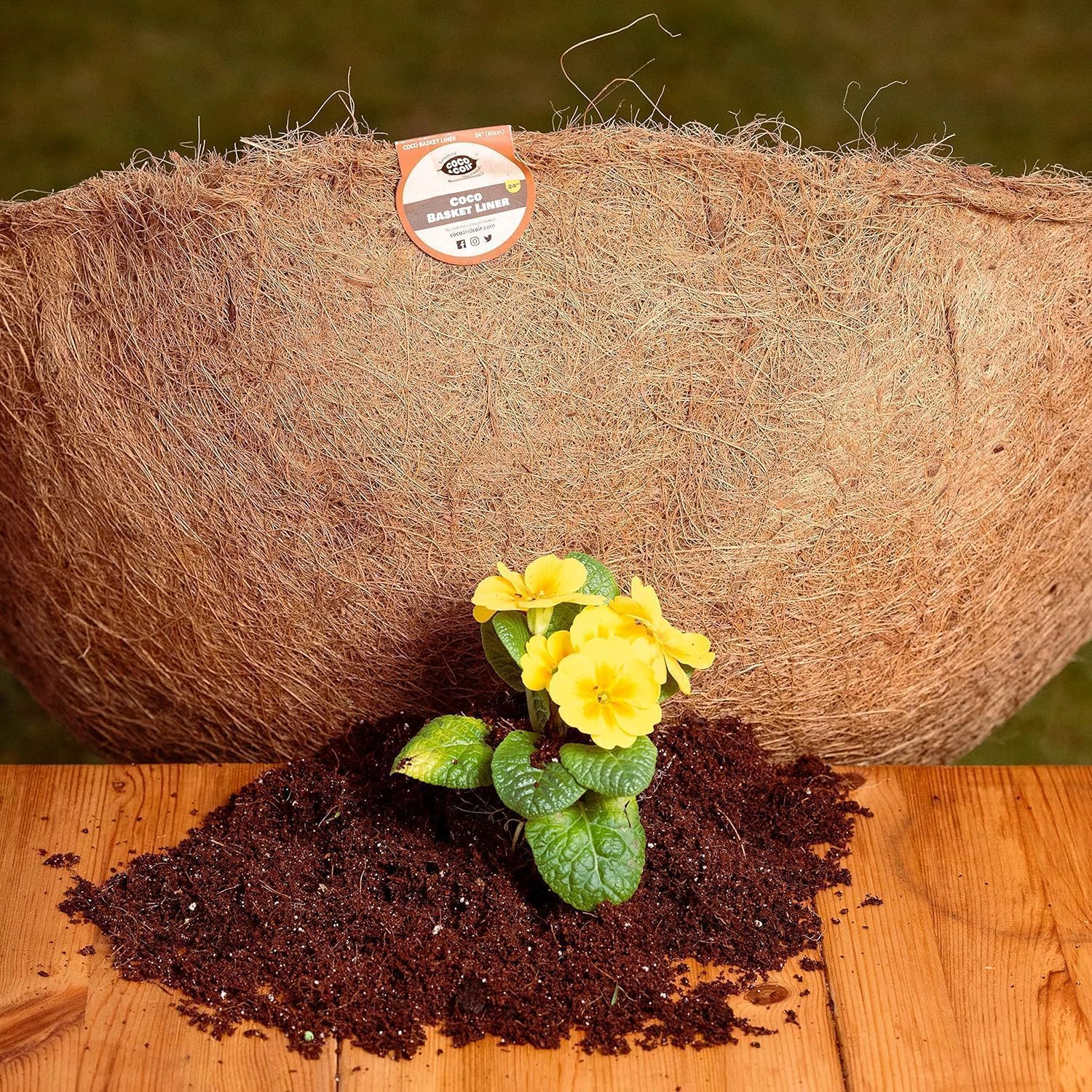 COCO & COIR Hanging Basket Liner | Coco Fibre Replacement Liners for Wall Baskets