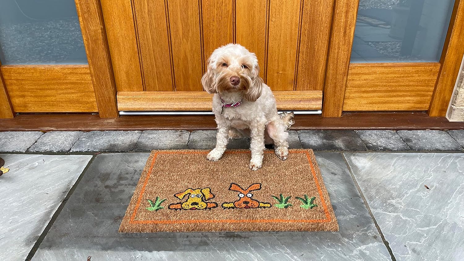 Coco & Coir Door Mats Indoor/Outdoor | Non Slip Dog Design Entrance Welcome Mat (Doggy Doggy)