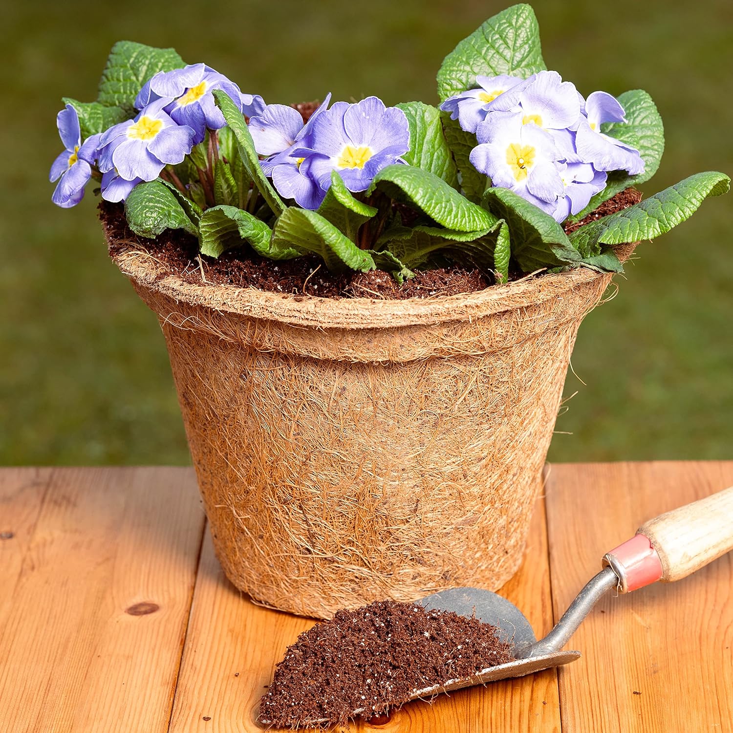 COCO & COIR Biodegradable Round Plant Pots Plastic Free Eco-friendly Propagation Pots