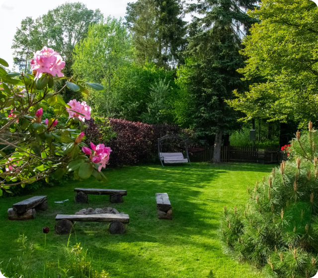 10 Essential Tips for Creating a Beautiful and Thriving Garden