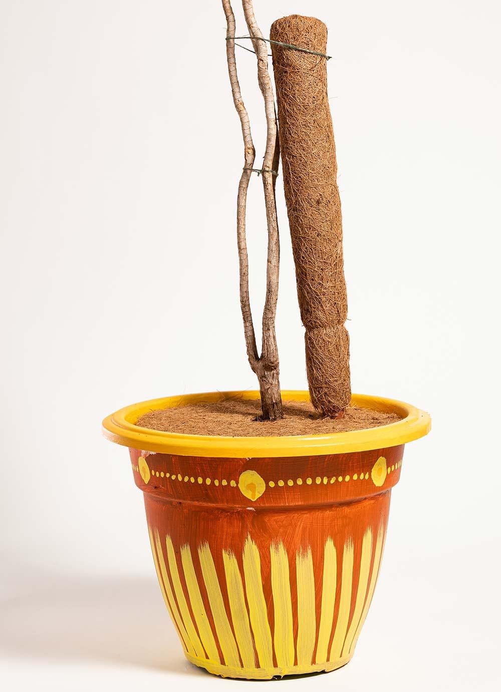 COCO & COIR Moss Pole Plant Supports | Coir Moss Stick for Climbing Monstera or Cheese Plants