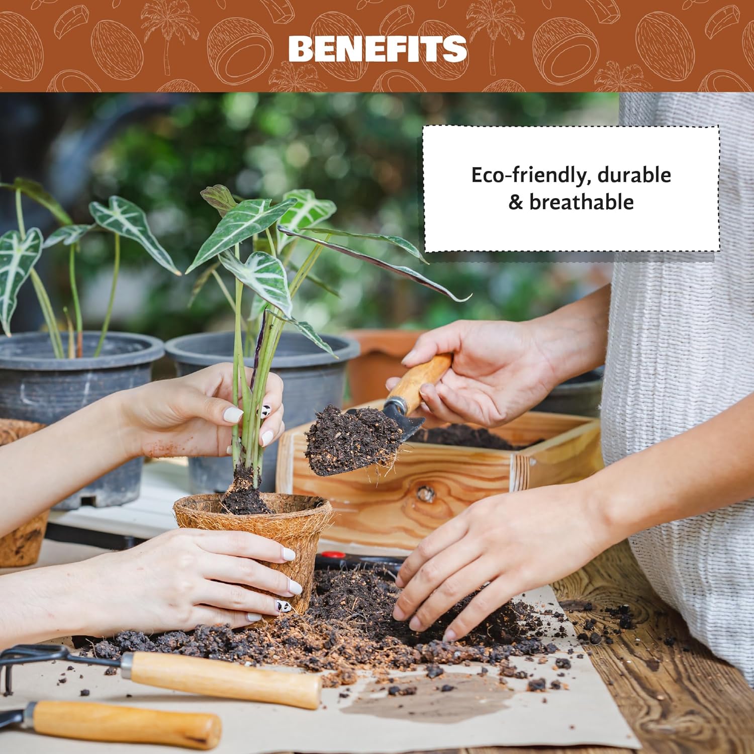 COCO & COIR Biodegradable Round Plant Pots Plastic Free Eco-friendly Propagation Pots