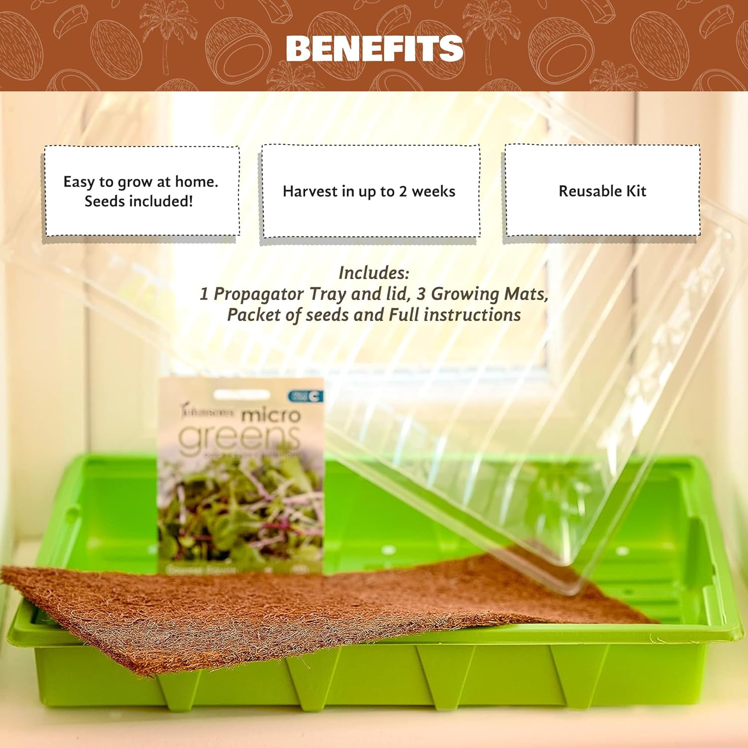 Grow Your Own Microgreens Kit | Sprouting Seeds Beginners Gardening Gift Set | Easy-to-Grow Vegetables and Herbs | Harvest in up to 2 Weeks. Seeds Included