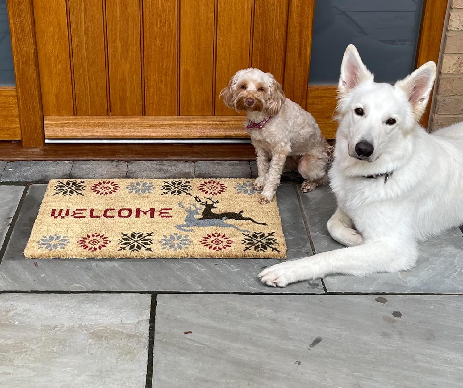 Coco&Coir Door Mat | Non-Slip | Thick Coir | Premium Quality | Rubber Backed | Eco-Friendly | Indoor | Outdoor | Heavy Duty | Christmas Theme | Xmas Entrance Door Mat (Stag Xmas)