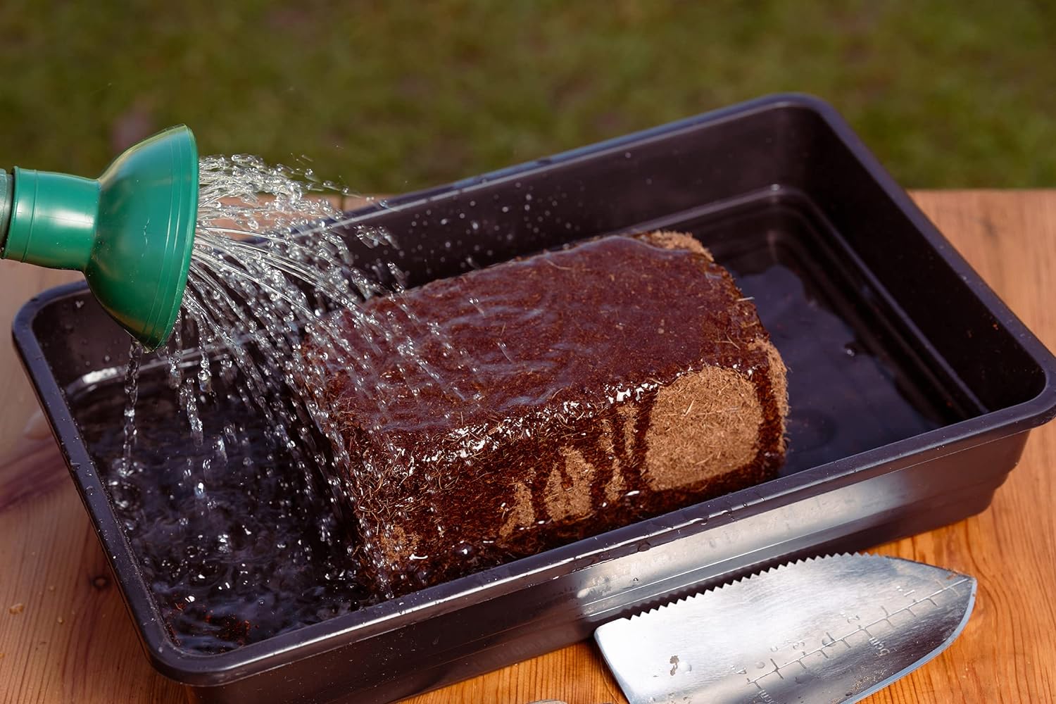 Coco & Coir 6 x 650g Organic Peat Free Compost Coco Soil. Reptile, Turtle Vivarium Substrate - Coco Grow (54L)