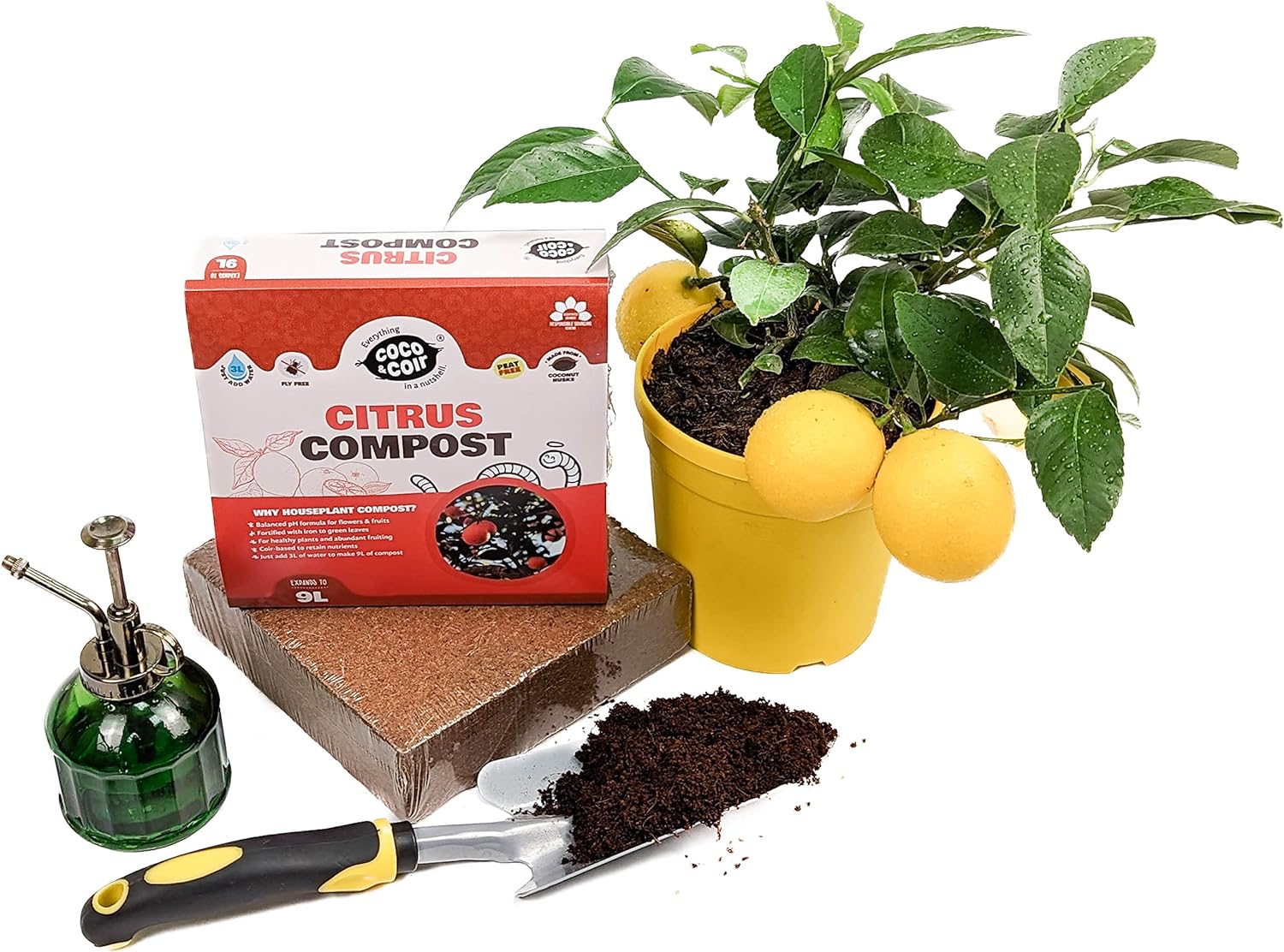 Coco & Coir Citrus Compost | Peat-free Coco Coir Citrus Plant Feed With Iron | Potting Compost Mix To Enhance Fruiting And Greener Leaves In All Citrus Plants (9L)