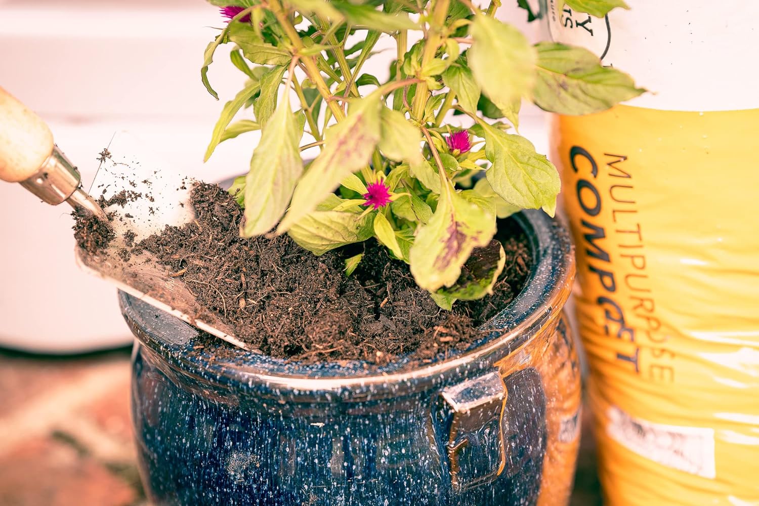 Harmony Gardens Multi Purpose Potting Compost 50L | Nutrient Rich Compost for Plants | All Purpose Seeding Compost Potting Soil Mix for Indoor and Outdoor Plants