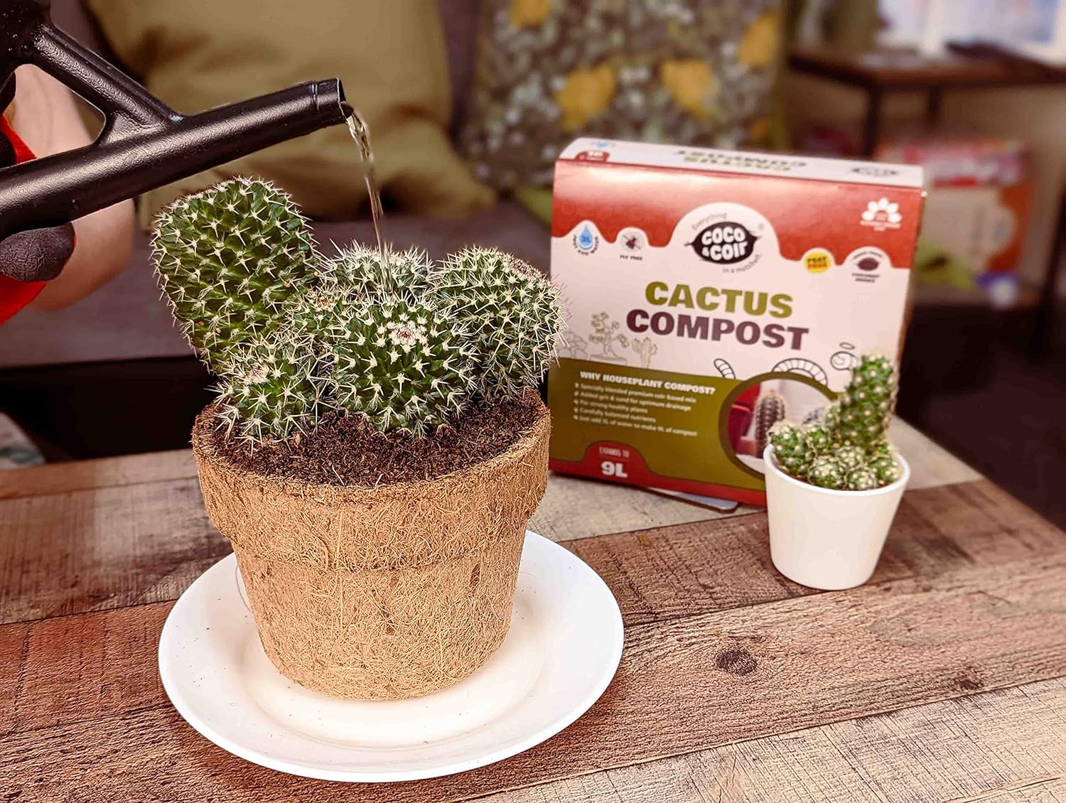 Coco & Coir Cactus Soil (9L) | Succulent Potting Mix | Peat-free Coir Cacti And Succulent Potting Mix | High Drainage Terrarium Soil With Nutrients