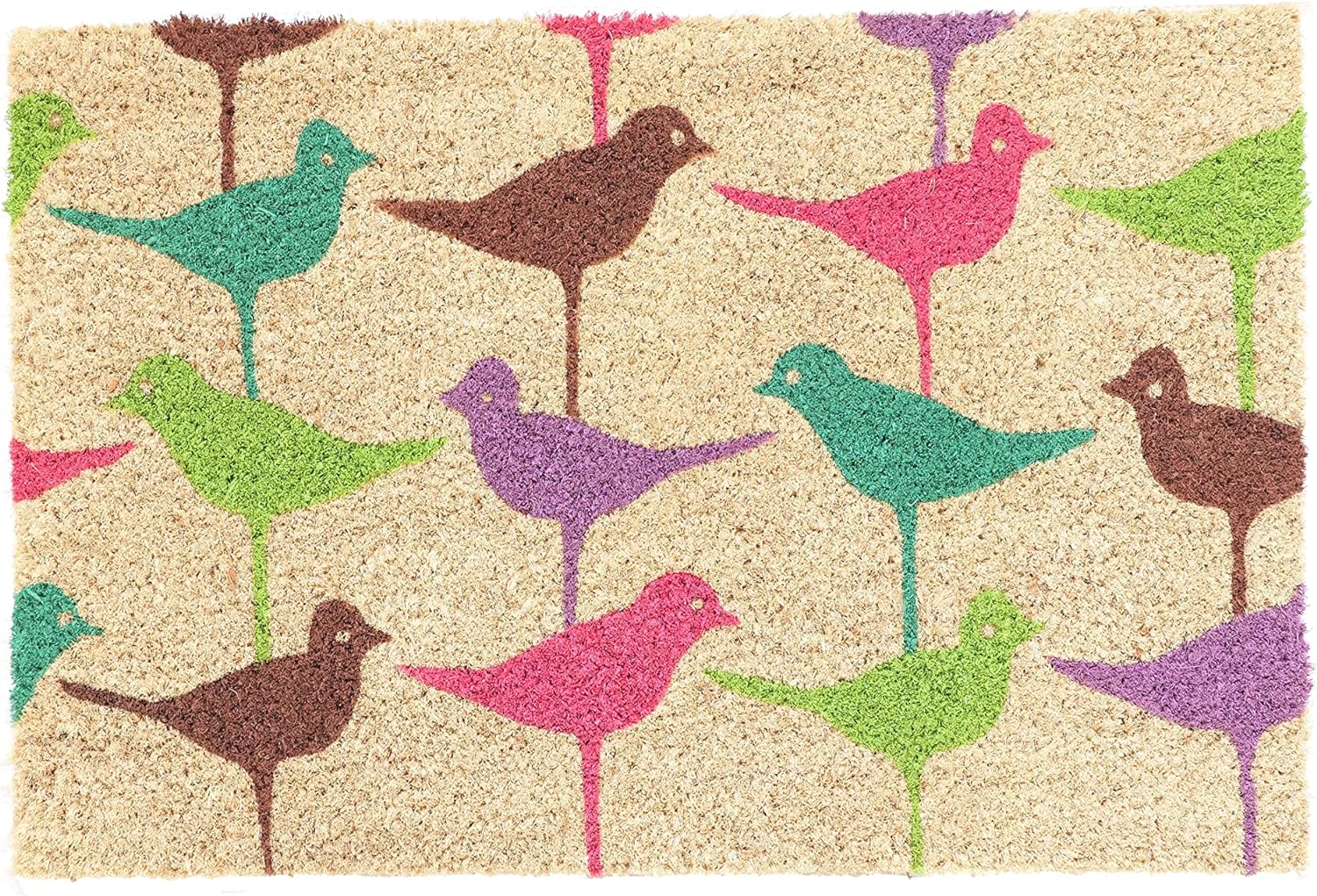 Coco & Coir Door Mats Indoor/Outdoor | Non Slip Bold Bird Design Entrance Welcome Mat (Birdie)