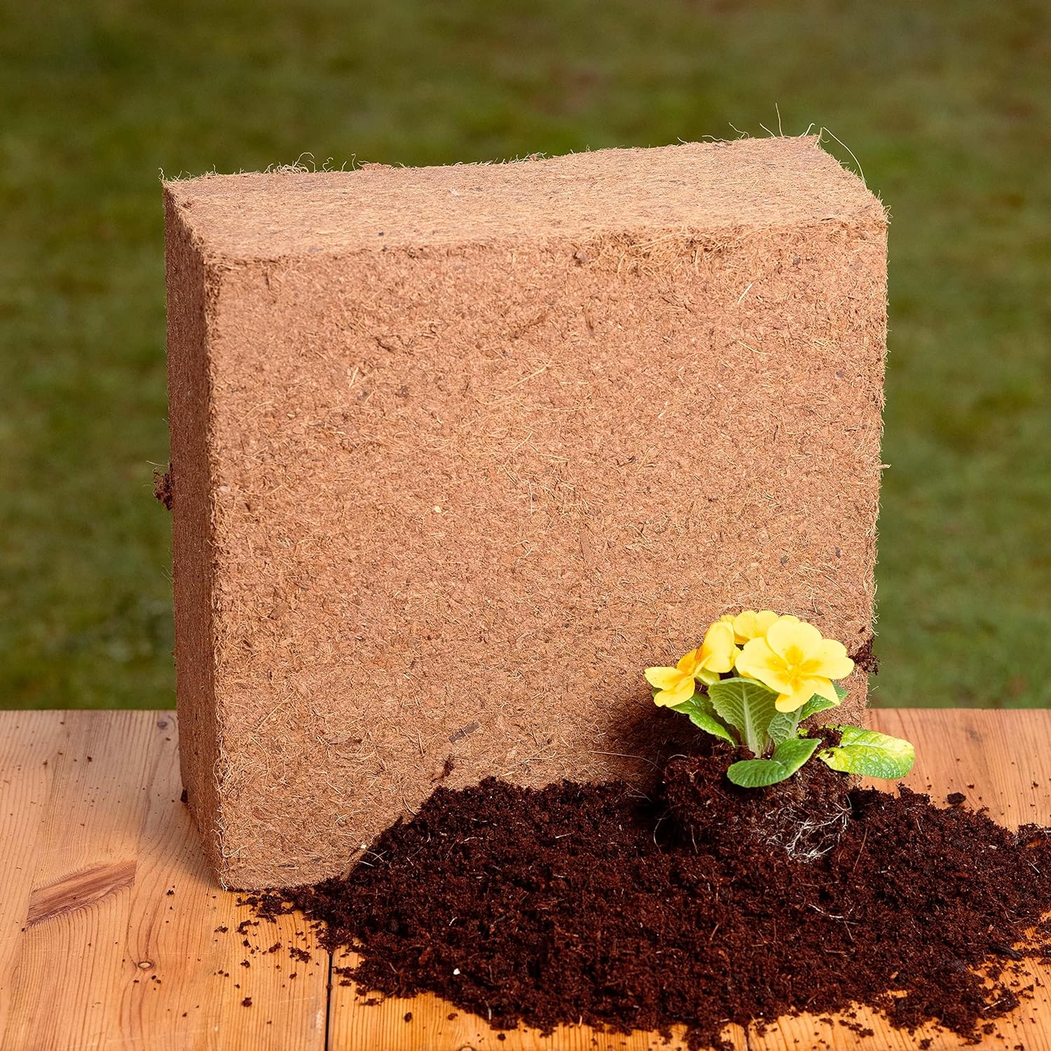 COCO & COIR Coco Soil Coconut Fibre. 100% Natural Organic Coconut Coir Compost Brick. Reptile Tortoise Bedding - Coco Grow (75L)